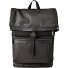  Ray Daypack 43 cm Laptopfach Variante black