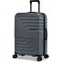  Dandelion 4 Rollen Trolley 61 cm mit Dehnfalte Variante dark grey