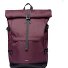  Icon Daypack 65 cm Laptopfach Variante cabernet