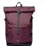  Icon Daypack 65 cm Laptopfach Variante cabernet