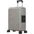  Vertica 4 Rollen Kabinentrolley S 55 cm Variante light grey